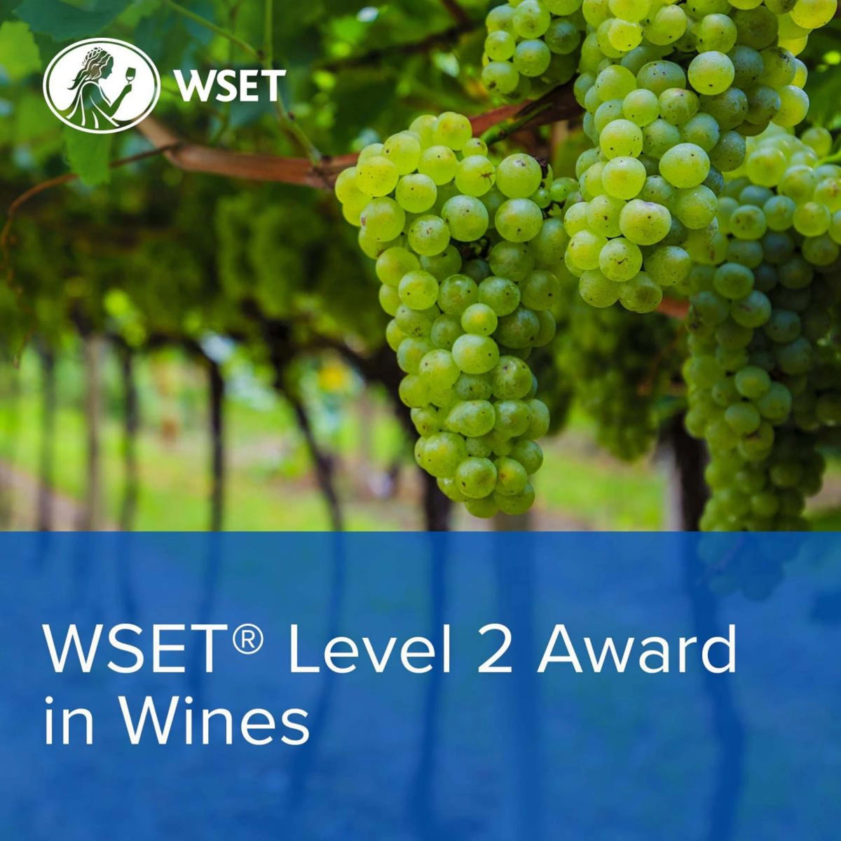 WSET Level 2 Award in Wines - April 18th & 19th