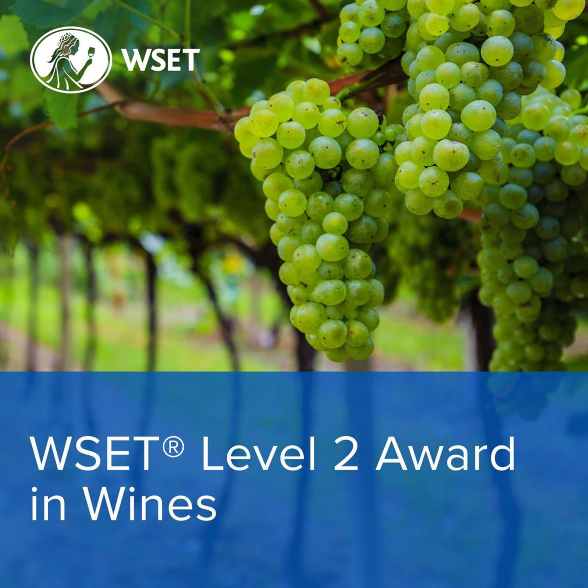 WSET Level 2 Award in Wines