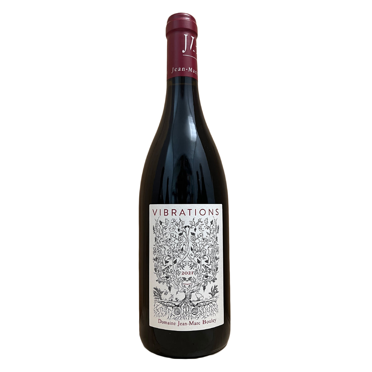 Domaine JEAN-MARC BOULEY Bourgogne Hautes Cotes de Beaune "Vibrations" 2022 - Case of 6