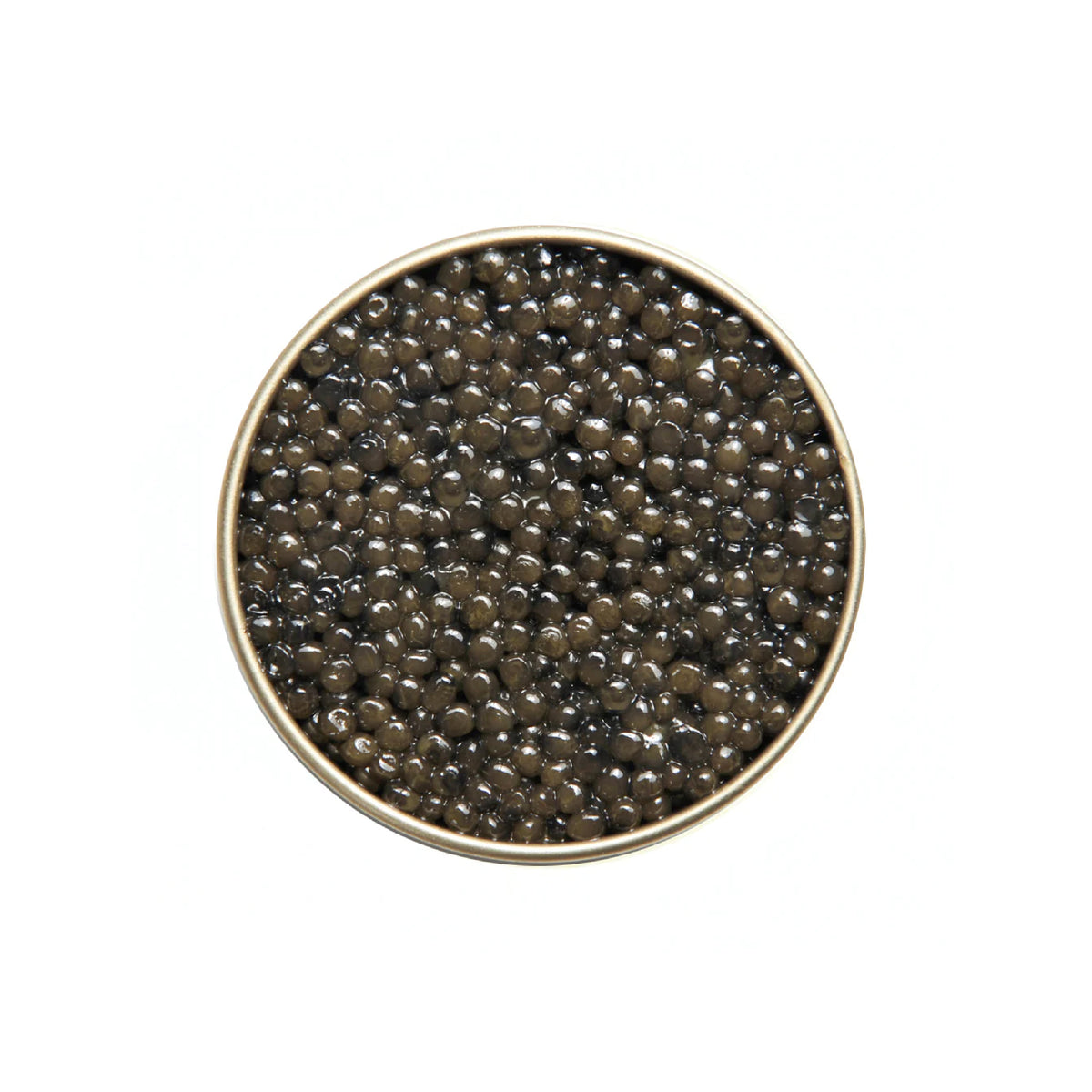 ROYAL CAVIAR CLUB Superior Sturgeon - 100gr